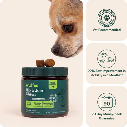 Hip & Joint Chews