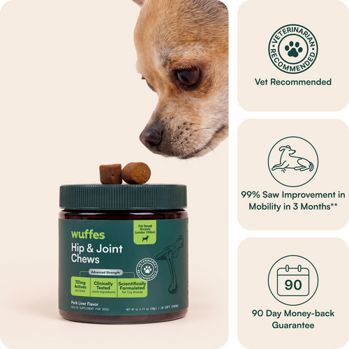 Hip & Joint Chews