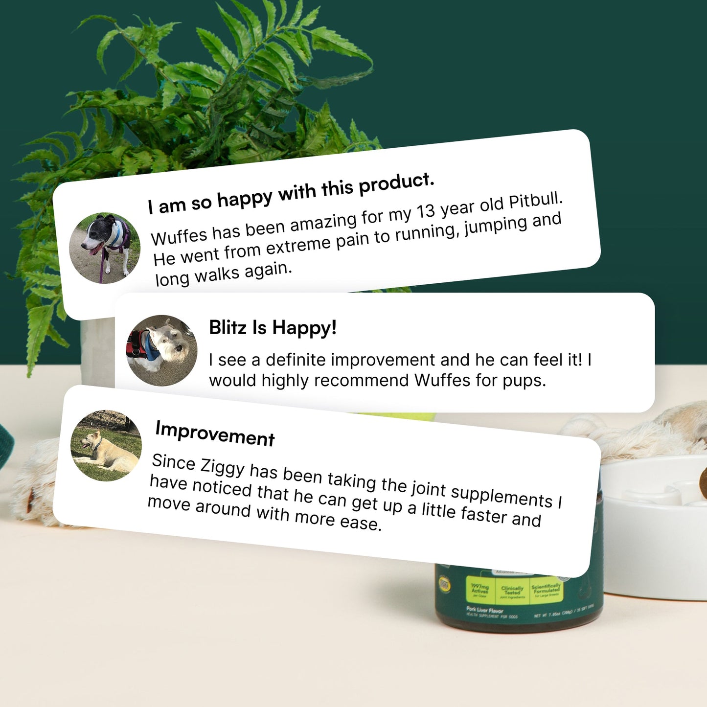 Hip & Joint Chews