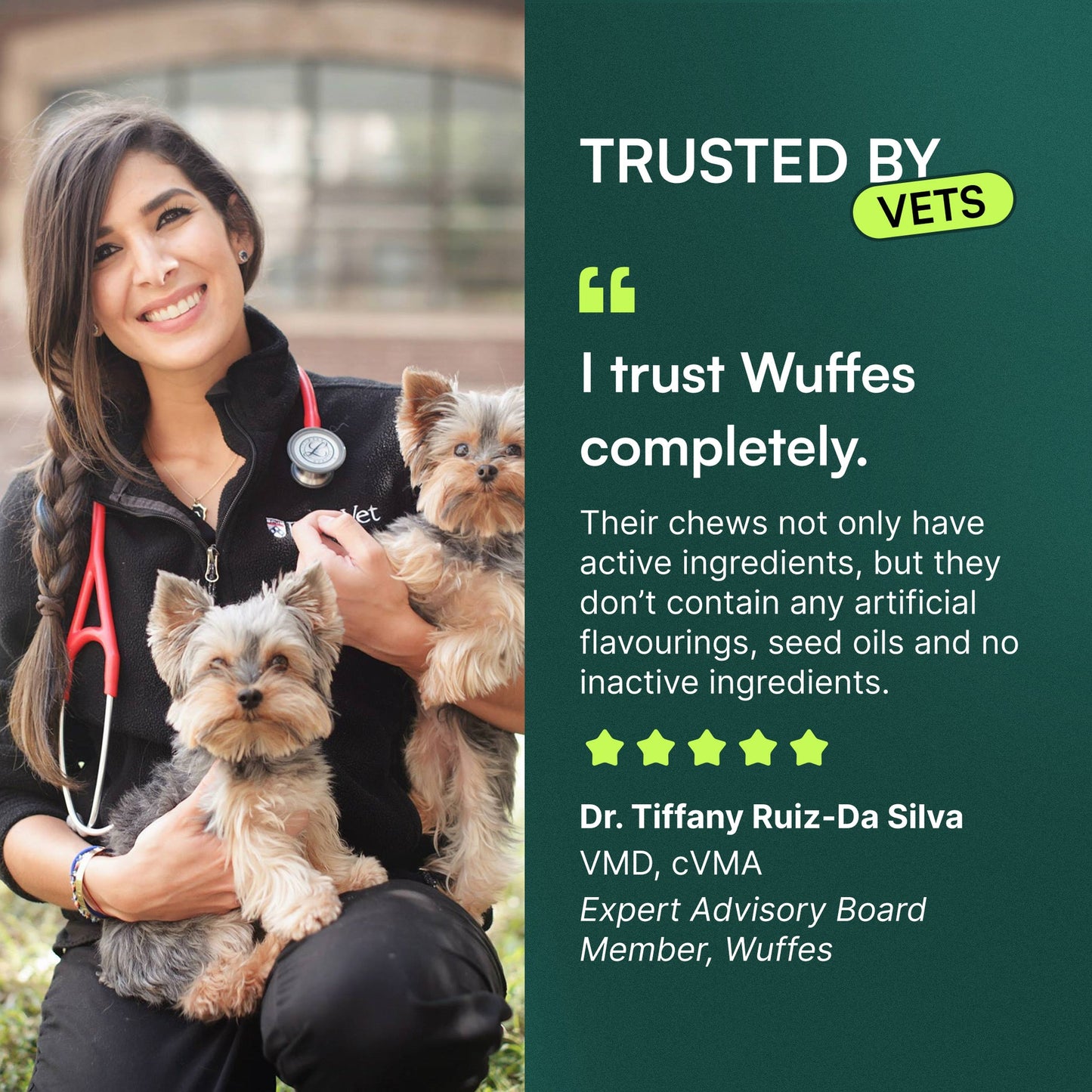 Hip & Joint Chews