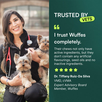 Hip & Joint Chews