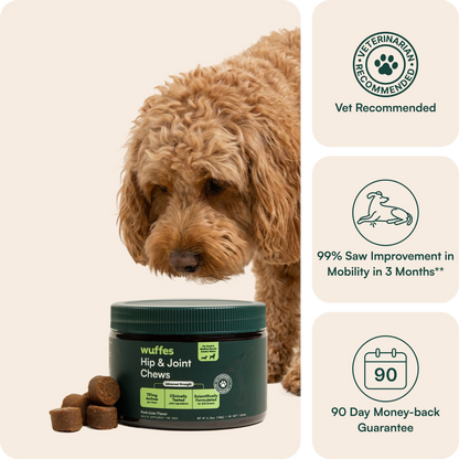 Hip & Joint Chews