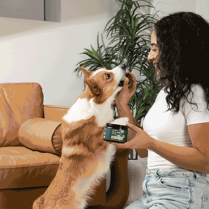 Hip & Joint Chews